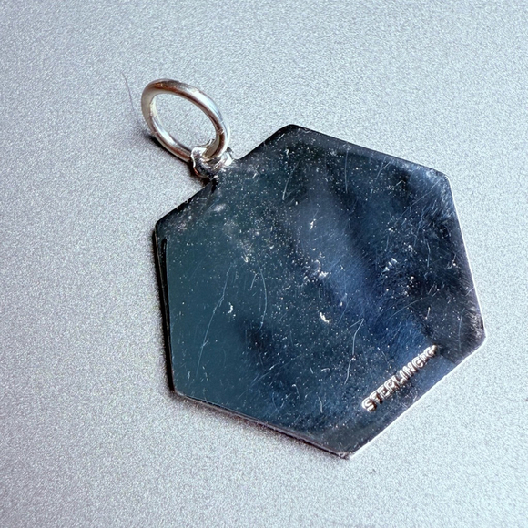 Sterling Silver 925 Medical Alert EMS EMT Diabetes Tag Charm Pendant - Picture 4 of 5